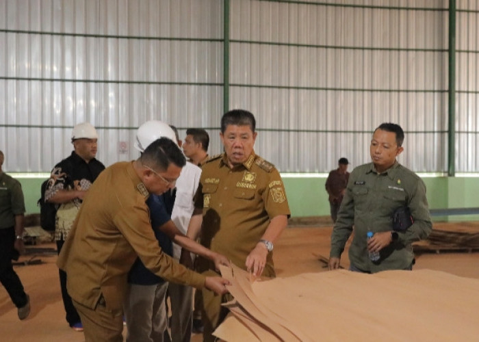 Bulan Depan Gubernur Hidayat Resmikan Pabrik Industri Plywood Sengon Pertama di Babel