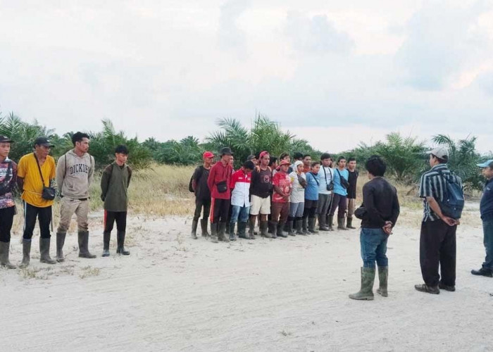 Perkebunan Sawit PT Dhibi Tali Anugerah Terancam Tambang: Mana Kepastian Hukum? 
