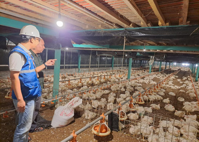 Pertanian Modern Berbasis Listrik Kian Berkembang, Program Electrifying Agriculture PLN Tumbuh 22,28 Persen