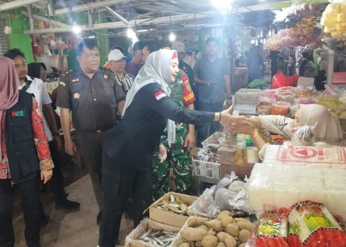 Debby Vita Dewi Bersama Dinas Terkait Pantau Bahan Pokok di Pasar Terminal, Cabai dan Bawang Turun Harga 