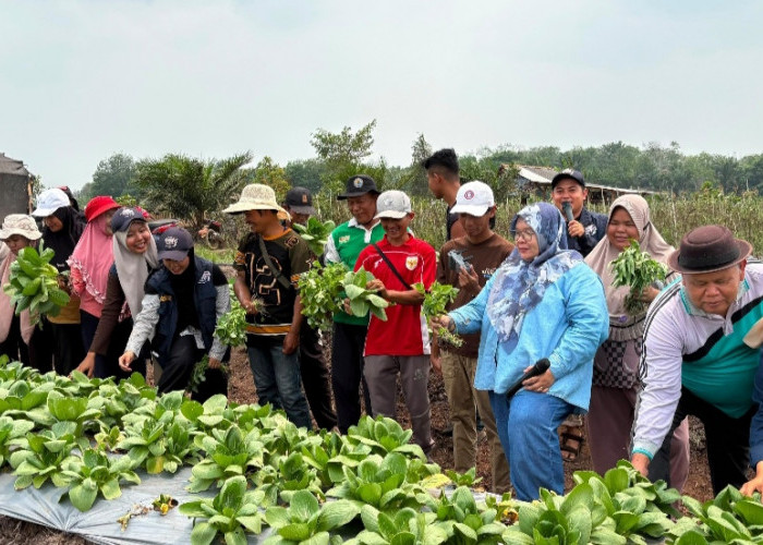 Tim Ekspedisi Patriot IPB University Perkuat Mutu Pascapanen dan Akses Pasar Hortikultura di Batu Betumpang