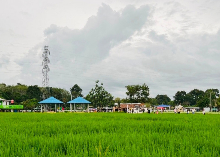 Tingkatkan Produktifitas Petani Babel Mengintensifkan Pengelolaan 22.561,38 Hektare Lahan Baku Sawah 