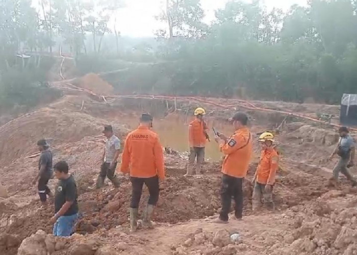 Enam Sudah Ditemukan, Tersisa Satu Korban yang Masih Tertimbun di Tambang Pondi
