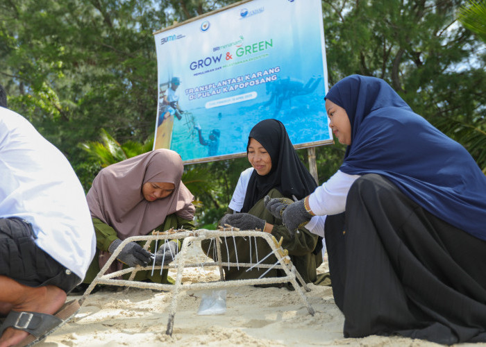 Jaga Ekosistem Laut Tetap Lestari, Ini Aksi Nyata BRI Menanam - Grow and Green di Pulau Kapoposang 