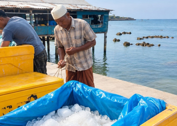 Terang Hari Listrik Nasional, PLN Nyalakan Harapan Masyarakat Kepulauan Belitung Lewat Listrik 24 Jam