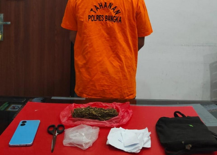 Polres Bangka Tangkap Pengedar Ganja di Mendo Barat, 37 Gram Ganja Disita