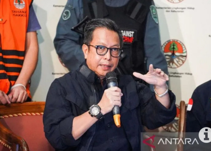 KLHK Ancam Perambah Bukit Mangkol 10 Tahun Penjara 