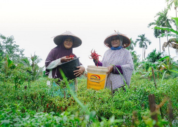 Dari Desa untuk Bangsa, PT Timah Dukung Kemandirian Ekonomi Masyarakat Melalui Pemberdayaan Potensi Lokal
