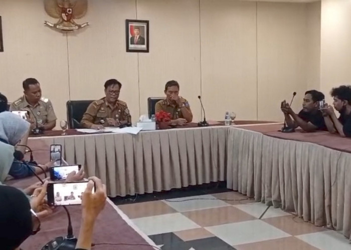 Ngantor Lagi Usai Bebas, Kini Hellyana Diberhentikan Sementara dari Jabatan Wagub