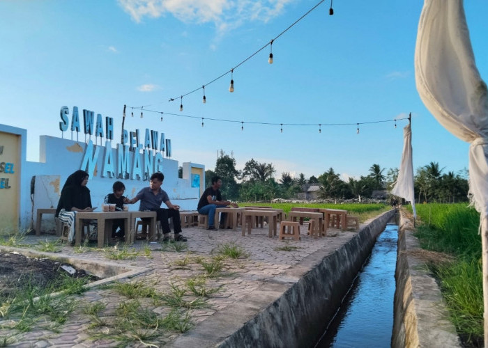 CSR BSB Jadikan Sawah Namang Kian Memukau