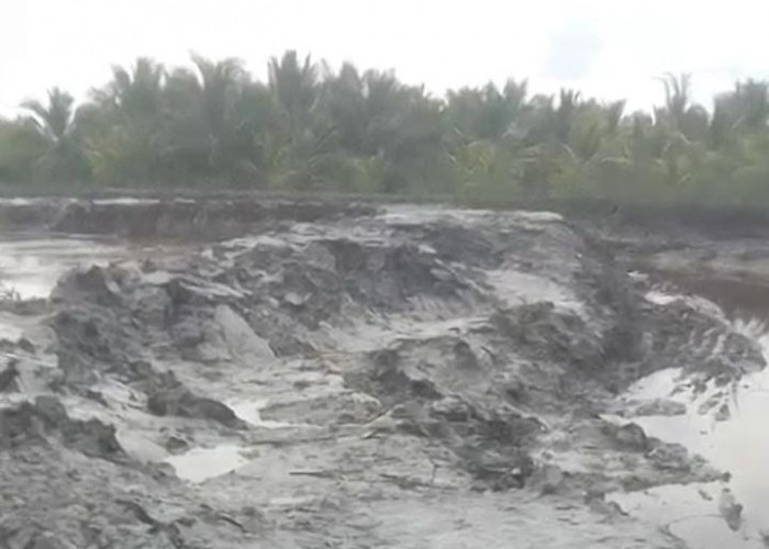 Dinding Tanggul Sungai Pumpung Longsor, Petani Khawatir Air Laut Masuk Sawah