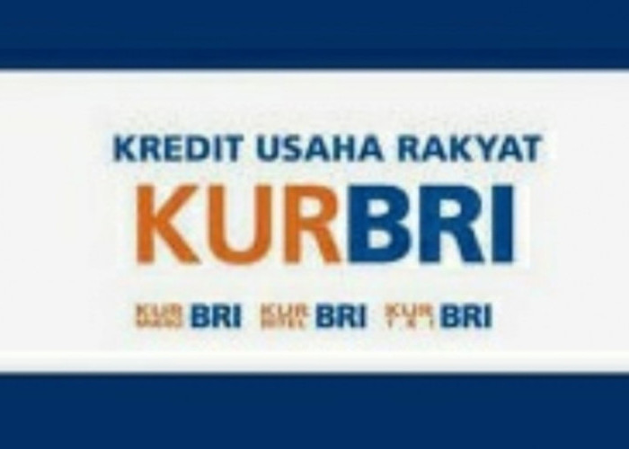 Cara Mengajukan KUR BRI Agar Cair