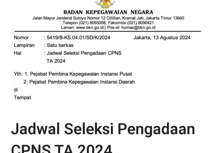 Pendaftaran CPNS Mulai 20 Agustus! Ini Tahapannya