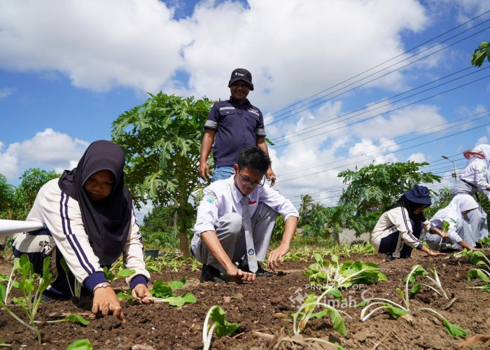 Seru, Pelajar di Bangka Diajak Berpetualang Sambil Mengenal Reklamasi PT Timah