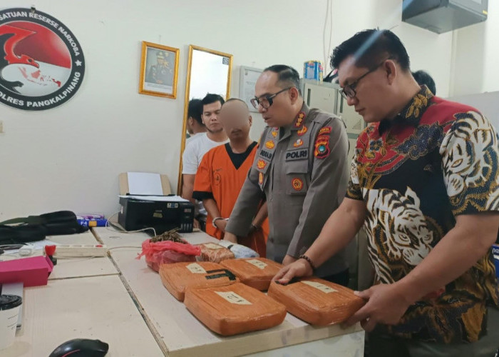Polresta Pangkalpinang Bongkar Jaringan Ganja dari Yogyakarta, Kurir Ngaku Sudah Terima 33 Kg