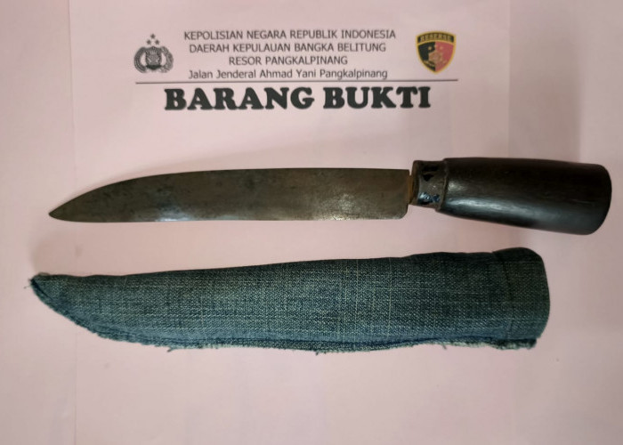 Suami Serang Istri di Toko Bangunan Pangkalpinang Diringkus Buser Naga, Pisau Karat Jadi Barang Bukti