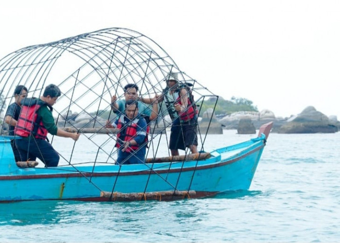 PT Timah Kembali Tenggelamkan 37 Unit Coral Garden di Pulau Putri 