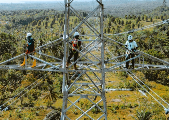 PLN Operasikan Jalur Transmisi 150 kV dari Kolonedale ke Bungku