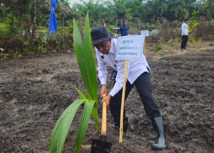 Program Ketahanan Pangan: Kalapas Pangkalpinang Ikut Tanam 2.500 Bibit Kelapa, Targetkan 10.000 Pohon di Babel