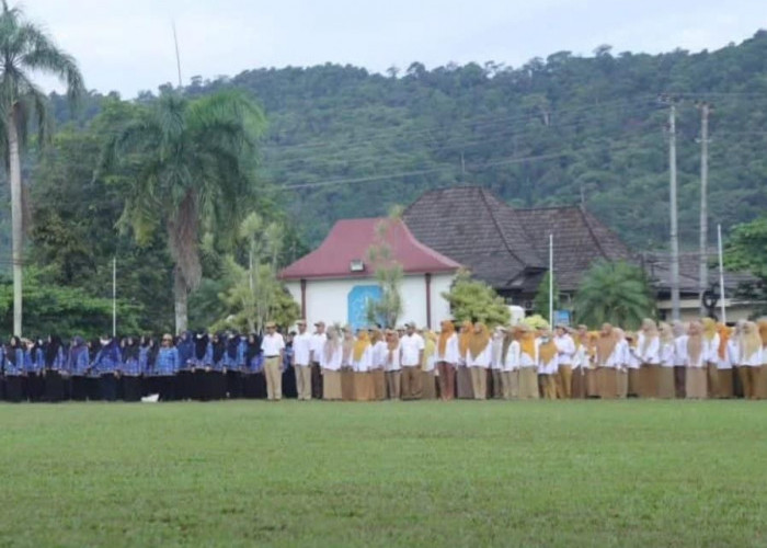 BKPSDMD Bangka Ajukan 2.835 Tenaga Honor Menjadi PPPK