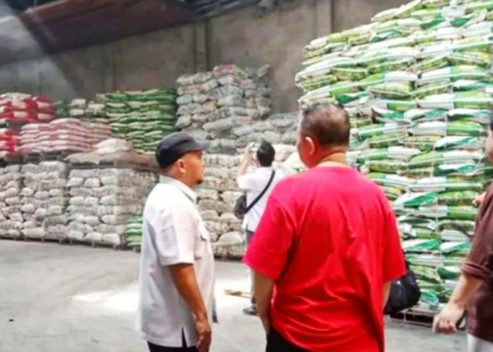 Babel Perkuat Stok Beras Jaga Stabilitas Harga