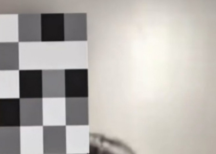 Video Syur Seorang Diduga Dokter Menyebar di Kota Pangkalpinang 