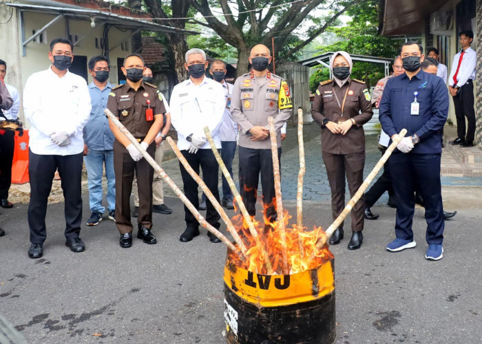 Sabu 2,8 Kg dan Ganja 1,3 Kg Dibakar