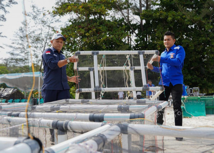 PT Timah dan HNSI Berkolaborasi Pasang Alat Penarik Cumi-cumi di Perairan Bangka