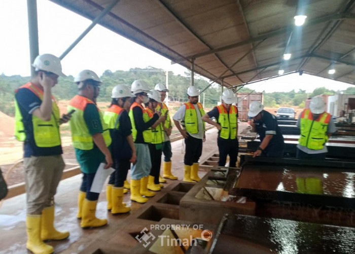 PT Timah Undang Investor untuk Jelajahi Proses Bisnisnya, Dari Lokasi Pertambangan hingga Pabrik Pengolahan