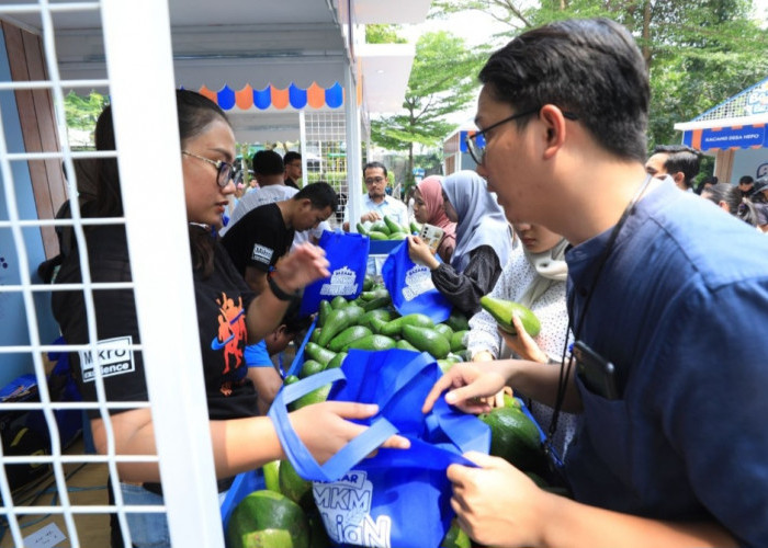 Berkat Program Pemberdayaan BRI Klasterku Hidupku, Petani Ini Berhasil Kembangkan Budidaya Alpukat