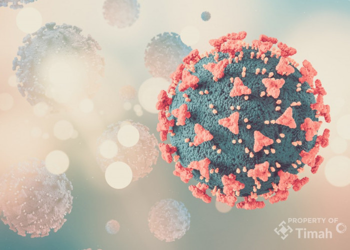 Ringankan Biaya Pengobatan Warga, PT TIMAH Tbk Bantu Pejuang Kanker Ravael Jalani Perawatan