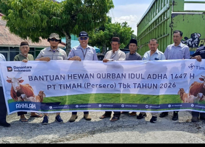 Warga Bangka Barat Sambut Antusias Bantuan Hewan Kurban dari PT Timah