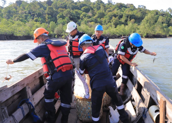 PT Timah Kembali Restocking ratusan Kepiting Bakau di Perairan Kundur 