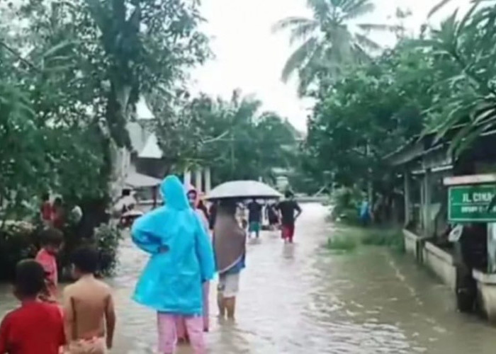 Warga di Lokasi Banjir Mentok Diminta Waspadai Buaya dan Ular