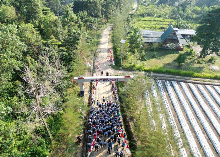 Dukung Bukit Pinteir di Ajang API Award 2023, Timah Trail Run Dijajal Ratusan Pelari