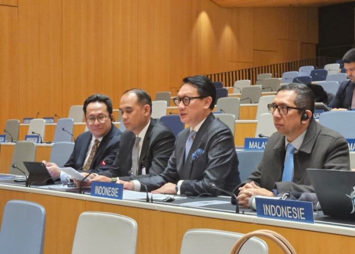 Sukses Sidang SCCR, Proposal Indonesia Didukung Sejumlah Negara dan Kelompok Regional Besar