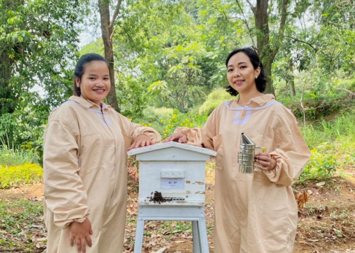 UMKM Madu Lokal Naik Kelas! Tembus Pasar Global Berkat Dukungan BRI