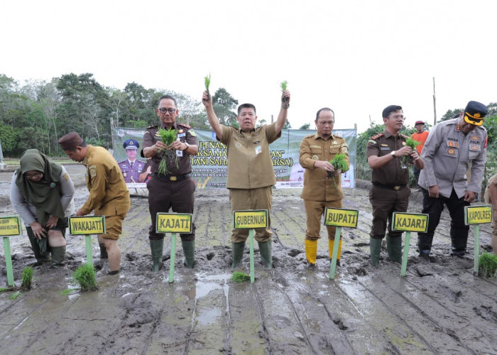 Gubernur Hidayat Arsani Pimpin Penanaman Padi Program Ketahanan Pangan Desa Adhyaksa 2026 di Namang 