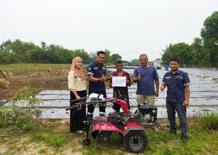 Pasca Dihujani Kritik dan Lemparan Batu, PT Timah Terus Tebar Manfaat untuk Petani Lokal