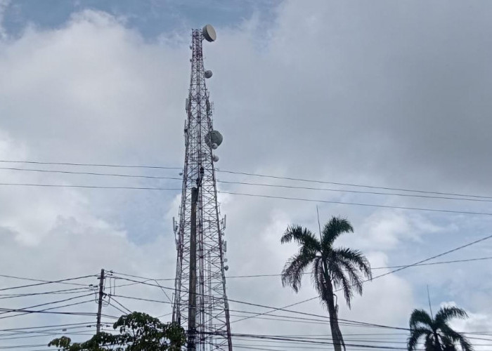 Ratusan Tower Pemancar Sinyal Berdiri di Basel, 48  Sudah Memiliki IMB dan PBG, Sisanya?