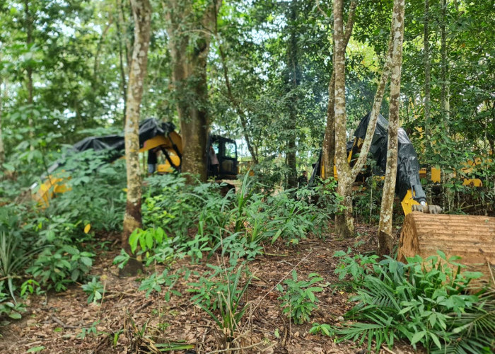 Tim Satgas PKH Sita Lagi 7 Excavator, Total Sitaan Jadi 39 Unit