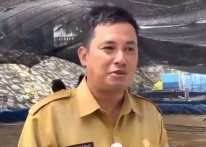 Bangka Tengah Kembangkan Udang Vaname Ramah Lingkungan