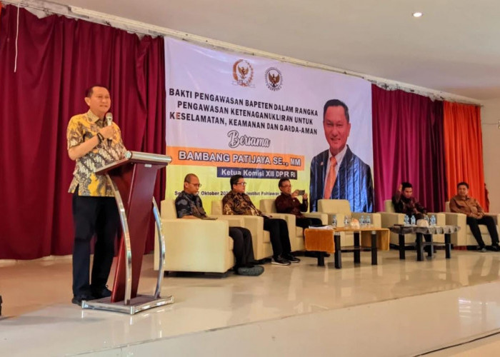 BPJ: Pembangunan PLTN Kewenangan Pusat