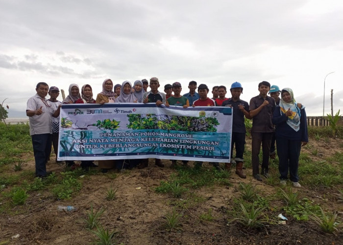 Gandeng Kelompok Masyarakat, PT Timah Tbk Kembali Tanam Mangrove di Pesisir Teluk Rubiah, Bangka Barat