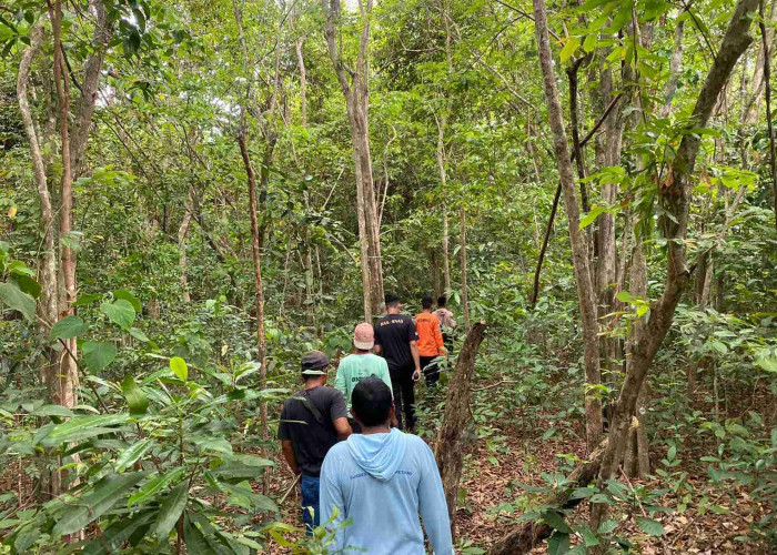 Nenek 81 Tahun Hilang di Kebun Sadai