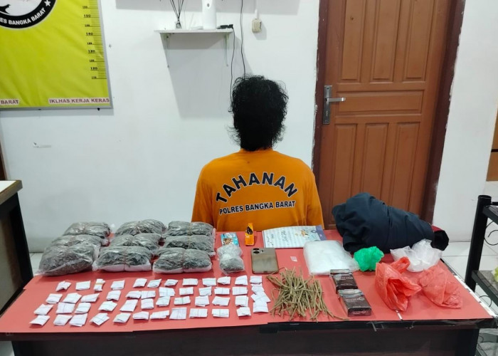 Sat Resnarkoba Polres Bangka Barat Ringkus Pengedar Sabu Dan Ganja