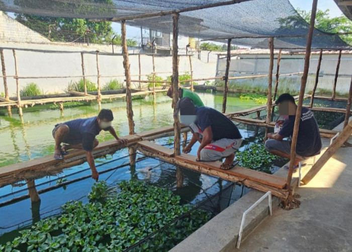 Agroedupark Dorong Pembinaan Produktif Warga Binaan di Lapas Pangkalpinang