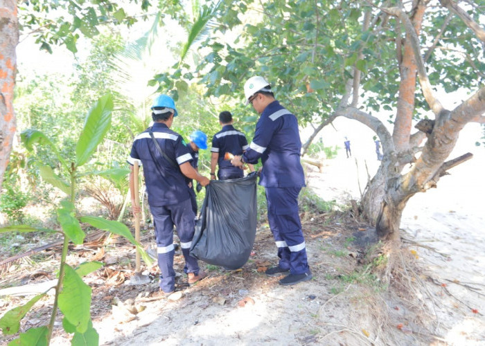Hari Lingkungan Hidup Sedunia, PT Timah Gelar Aksi Nyata Kumpulkan Sampah Plastik Hingga Tanam Pohon di Pantai