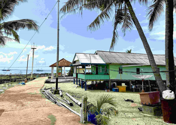 Hadir Hingga Ujung Negeri, PLN Perkuat Infrastuktur Kelistrikan Di Pulau Buku Limau Untuk Layanan Andal