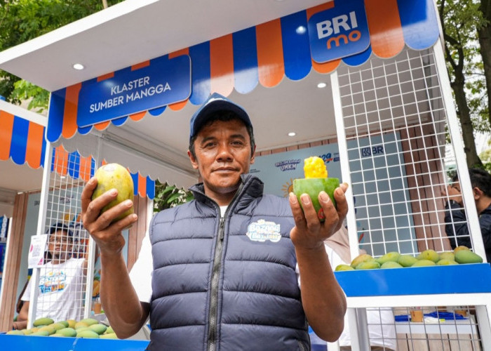 Diberdayakan BRI, Petani Mangga Bondowoso Mampu Perluas Lahan dan Tingkatkan Taraf Hidup